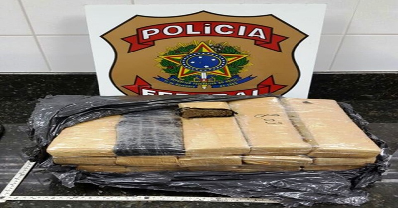 Polícias Civil e Federal apreendem droga na BR-364