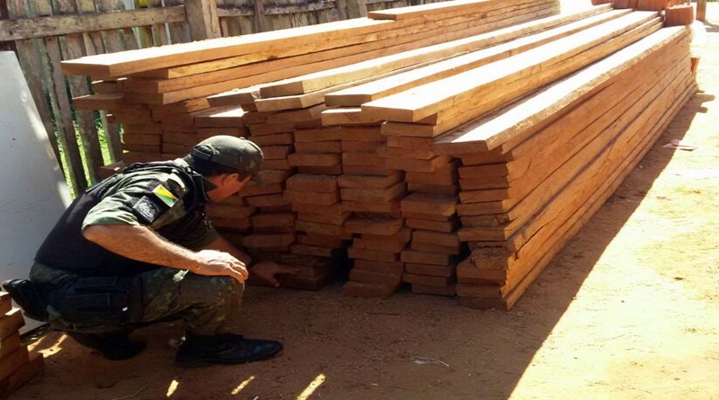 Batalhão desarticula galpão de madeira ilegal