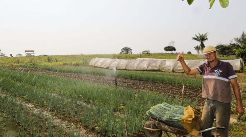 Governo e Banco da Amazônia firmam convênio para fortalecer cadeias produtivas