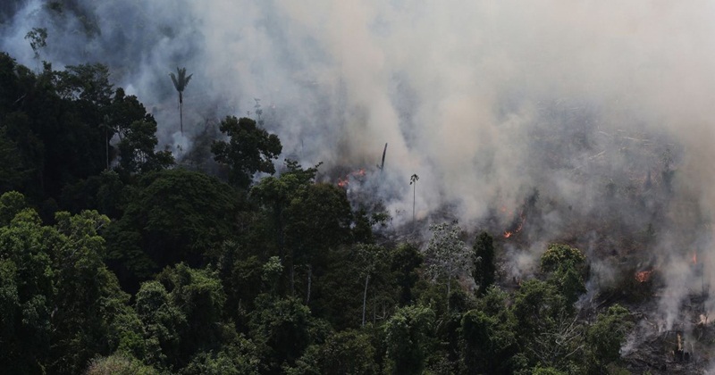 Amazônia pode ter queimada recorde em 2016