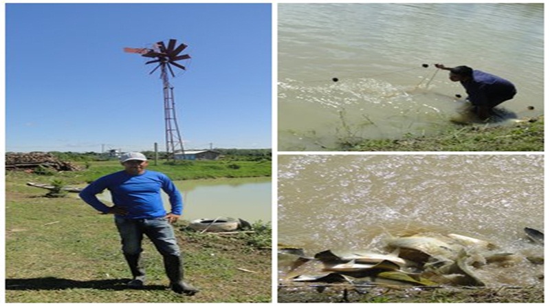 Piscicultor da BR 364 quer usar energia eólica para aumentar produção de pescado