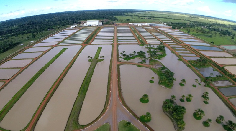 Governo e Ifac firmam parceria para projetos de pesquisa em piscicultura