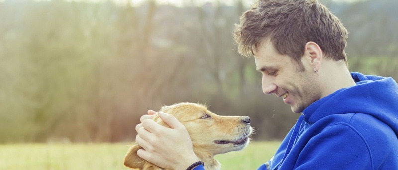 Ter um cão pode indicar que você é mais fiel, diz estudo