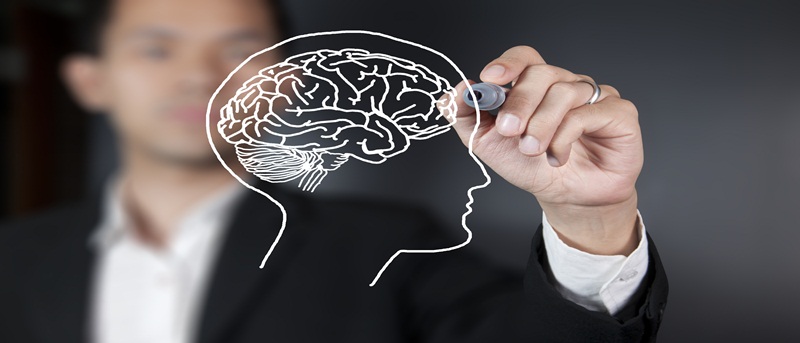 Quer melhorar a memória? Então coma estes alimentos