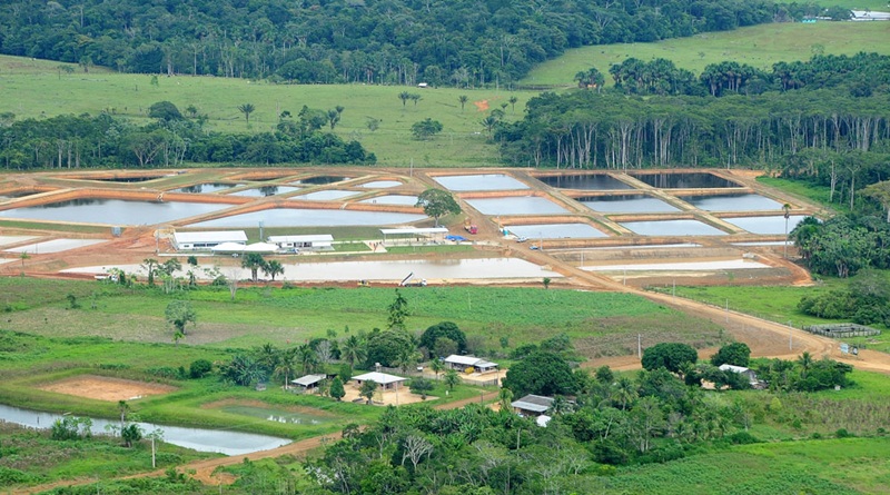 Centro de Alevinagem do Juruá produz mais de um milhão de alevinos