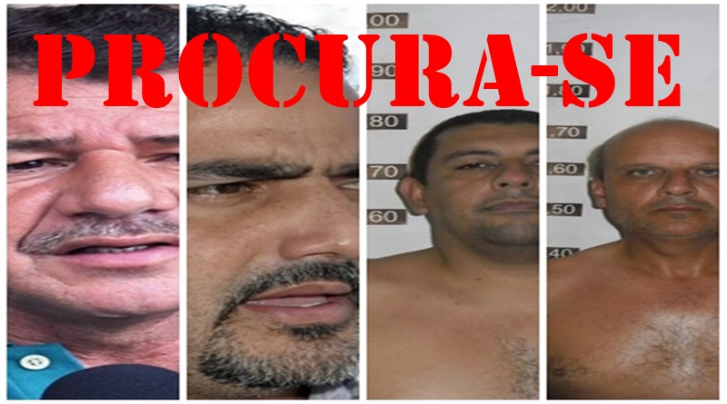 Procura-se