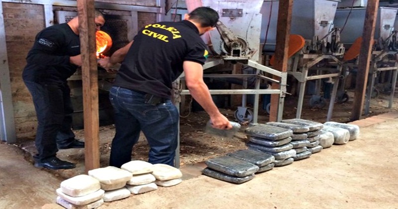 Polícia incinera 42 quilos de droga em Cruzeiro do Sul