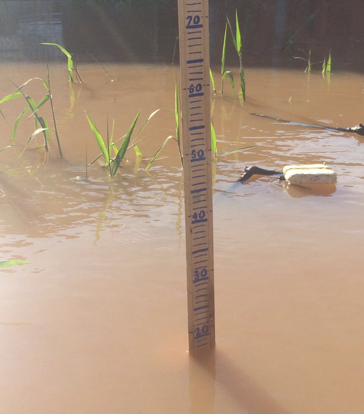 Em medição realizada às 16:00hrs, Juruá atinge 14,17m e deve superar marca recorde em poucas horas
