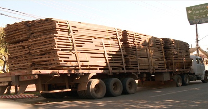 Polícia apreende quase 70 metros de madeira irregular