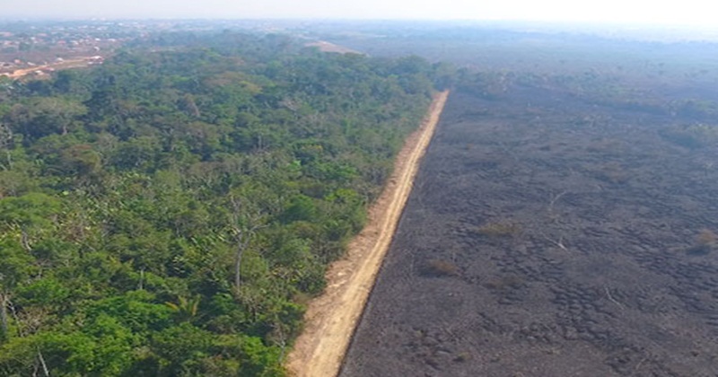 Tarauacá e Feijó lideram focos de calor no Acre