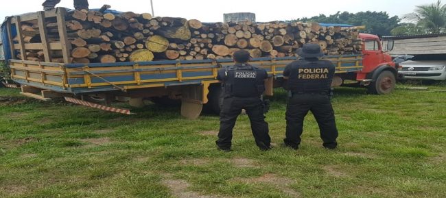 Polícia Federal apreende quase 50 m³ de madeira ilegal no Acre
