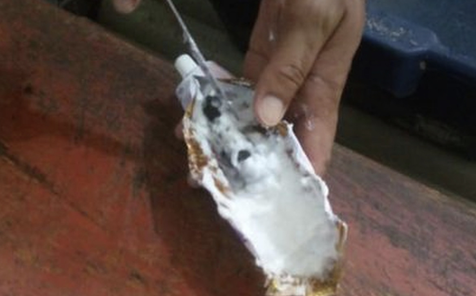 Mulher é presa ao tentar entrar com celular dentro de tubo de pomada em presídio no Acre