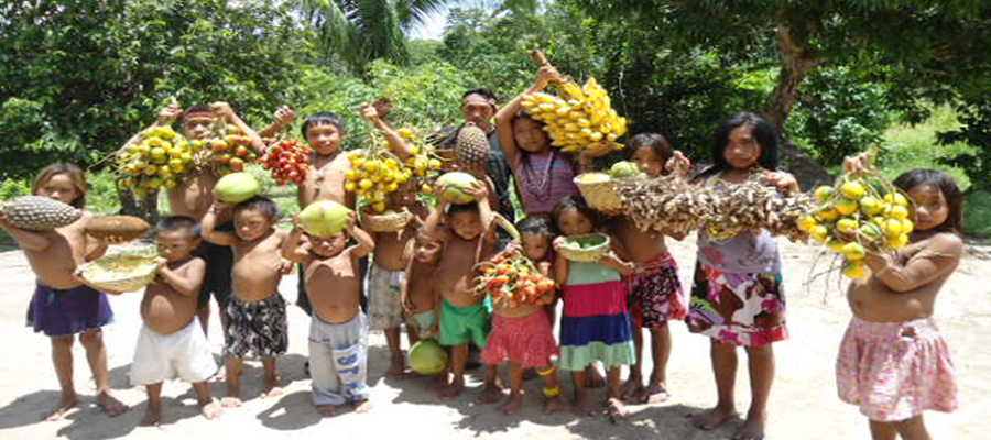Banco Mundial informa que estão garantidos recursos para índios do Acre