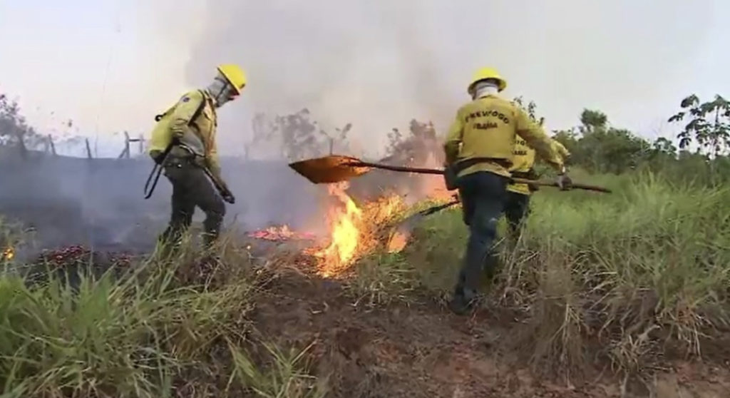 Governo decreta emergência ambiental e libera contratação de 30 brigadistas no Acre