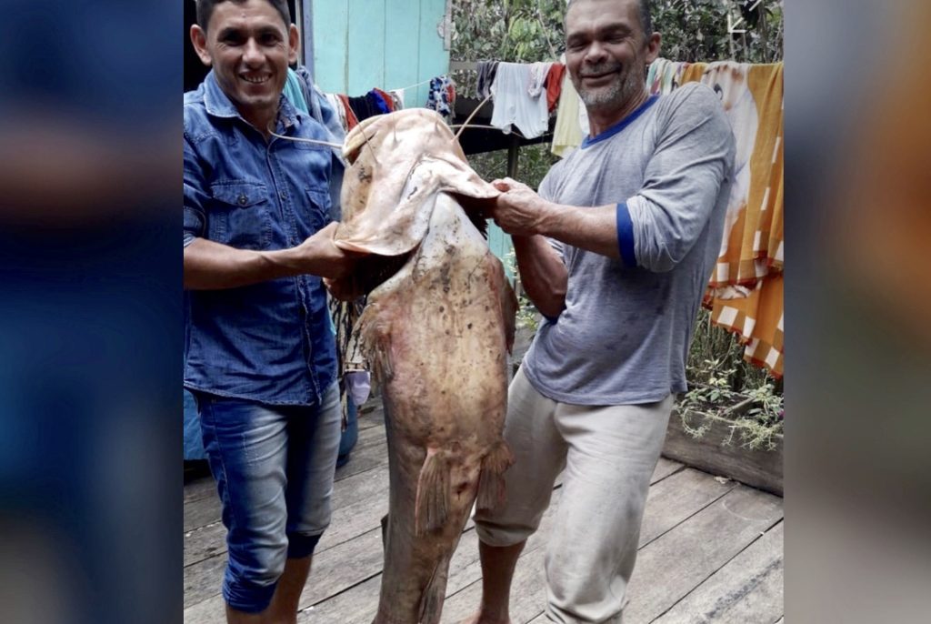 Amigos capturam peixe com mais de 1 metro e 42 quilos no interior do Acre
