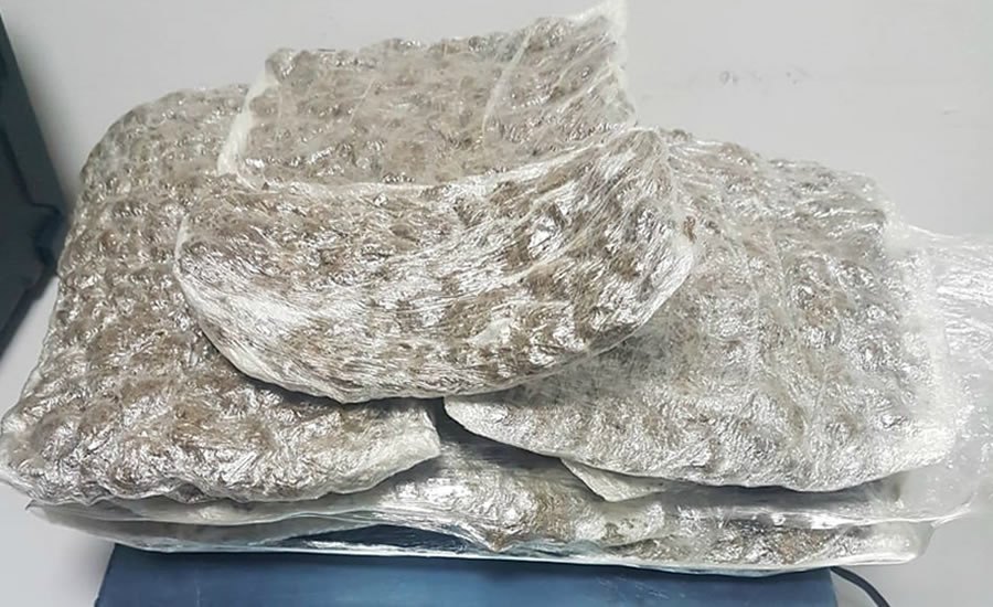 PF identifica a “rota do skank” que usa acreanas para levar “super maconha” para Brasília