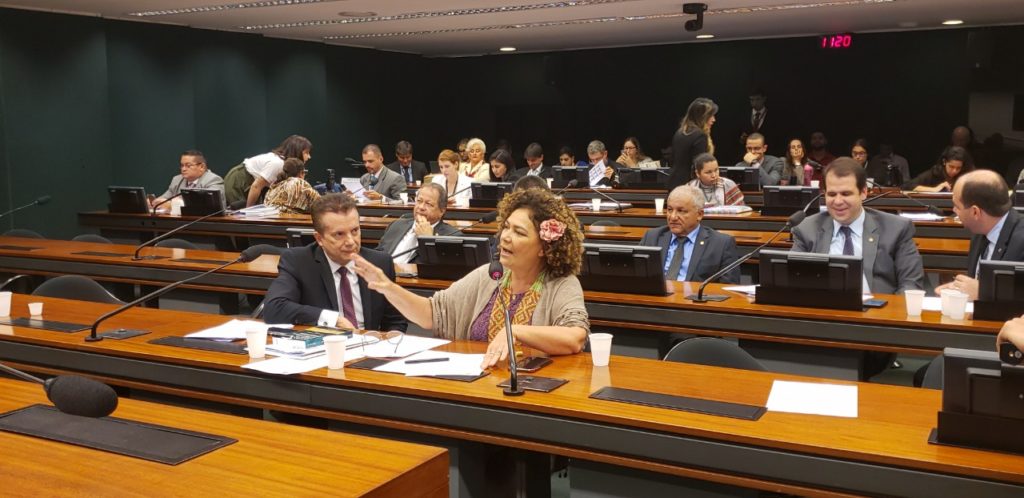 Sugerida por Perpétua Almeida, audiência pública sobre FIES é aprovada