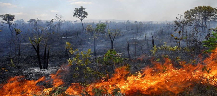 Ministro declara estado de emergência ambiental no Acre