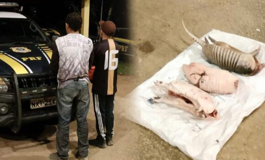 Dupla é detida com carne de caça na BR-364