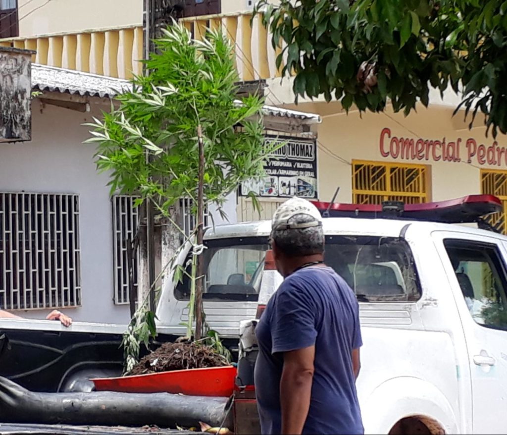 Jovens são presos com crack e maconha em Marechal Thaumaturgo
