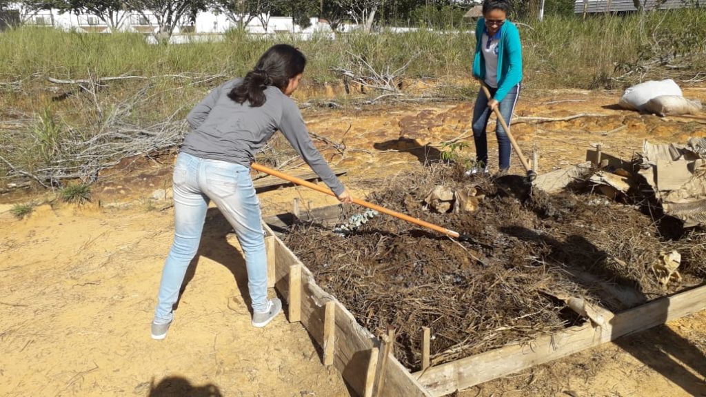 Projeto ‘Transformando lixo em comida’ é exemplo de como aproveitar restos de alimentos