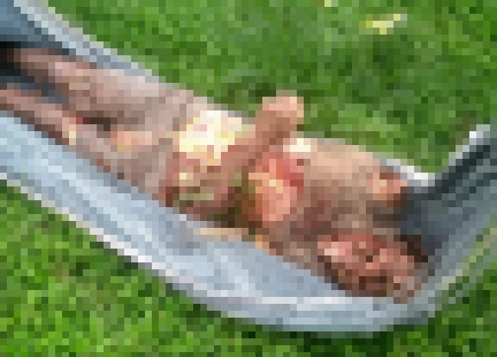 MACABRO: Agricultor é encontrado morto com partes do corpo dentro de um saco; crime aconteceu próximo a cidade de Guajará/AM