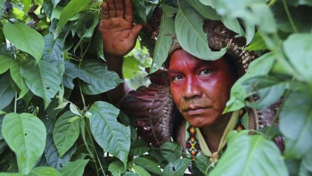 Da escravidão à autonomia em 50 anos: a história de renascimento dos índios yawanawá