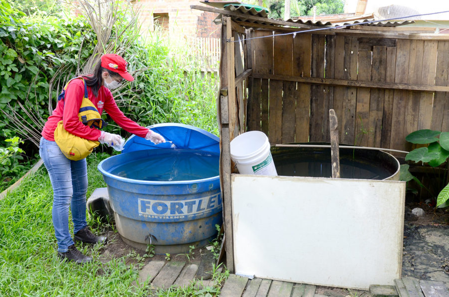 Incidência da dengue cresce e alerta para cuidados nas casas