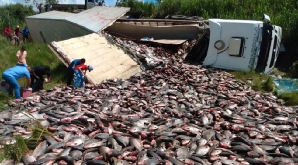 Carreta carregada de tambaquis capota na BR-364 nesta terça-feira