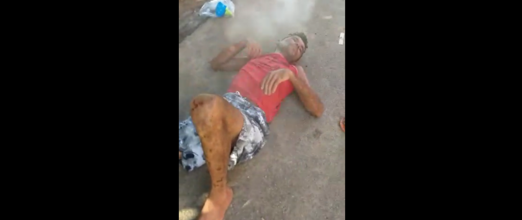 Em Feijó, abelhas italianas atacam e deixam homem em estado grave; assista