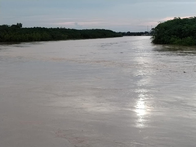 Em Tarauacá, nível do rio começa a baixar; hoje marca 09, 20 metros