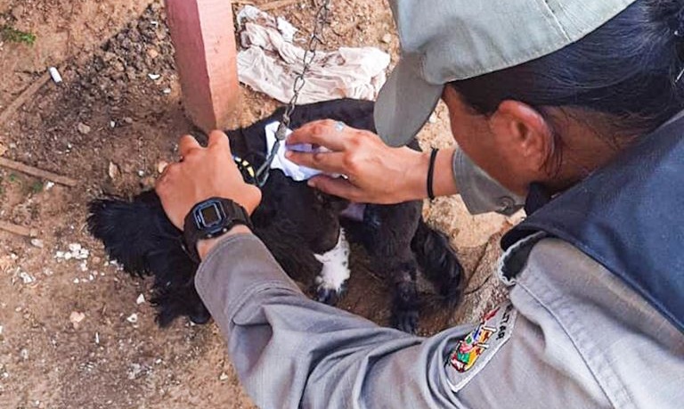 No Acre, Policiais Militares prestam socorro a cachorro atingido por disparo de arma de fogo