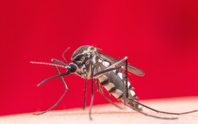 Mais de 50 pessoas foram internadas com suspeita de dengue hemorrágica em Cruzeiro do Sul