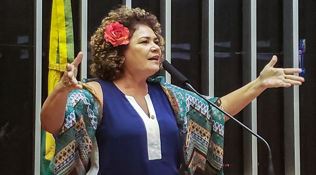 Deputada Perpétua apresenta Projeto de Lei que proíbe cobrança de bagagem pelas companhias aéreas