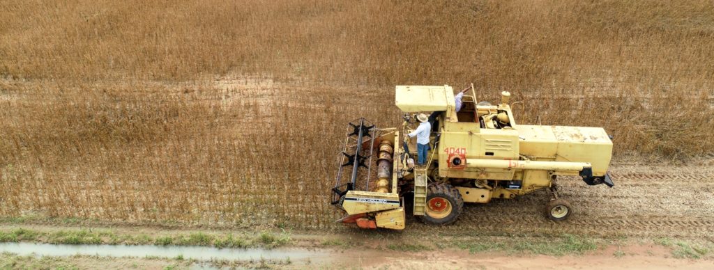 Pequeno produtor aposta na soja e conta com o apoio do Governo do Estado para a colheita e secagem