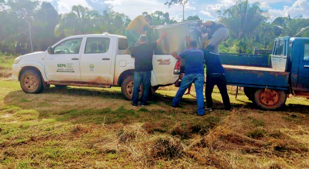 Governo do Acre garante apoio ao produtor rural durante isolamento