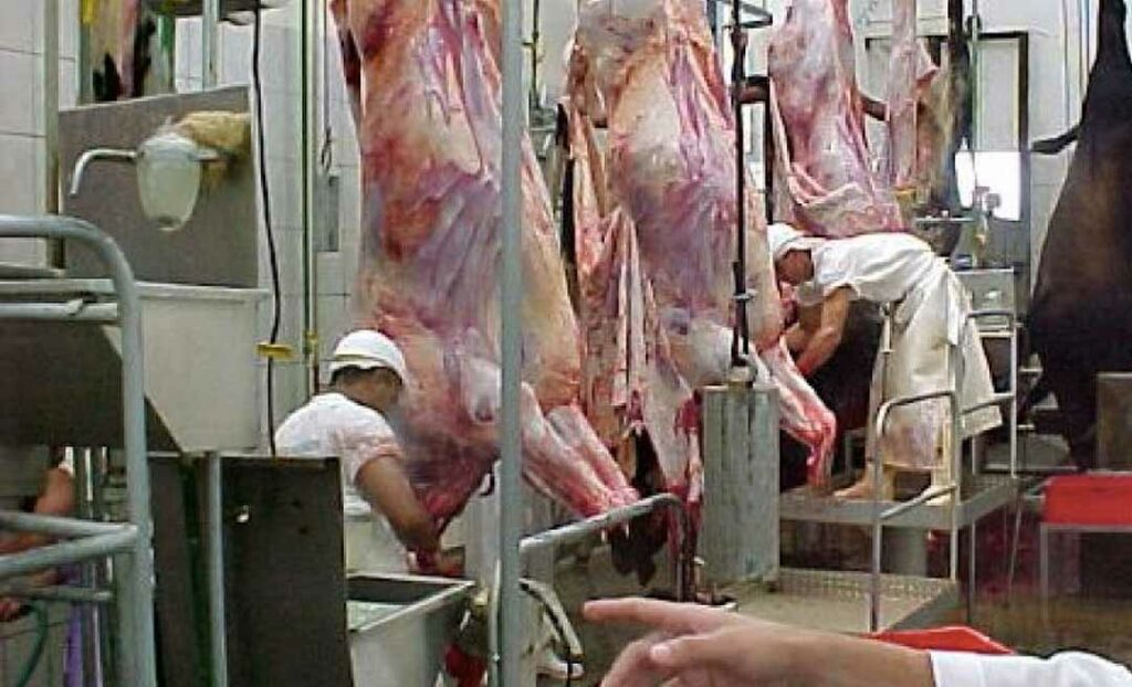 Retração no mercado de abate de bovinos no Acre é uma consequência da pandemia, diz IBGE