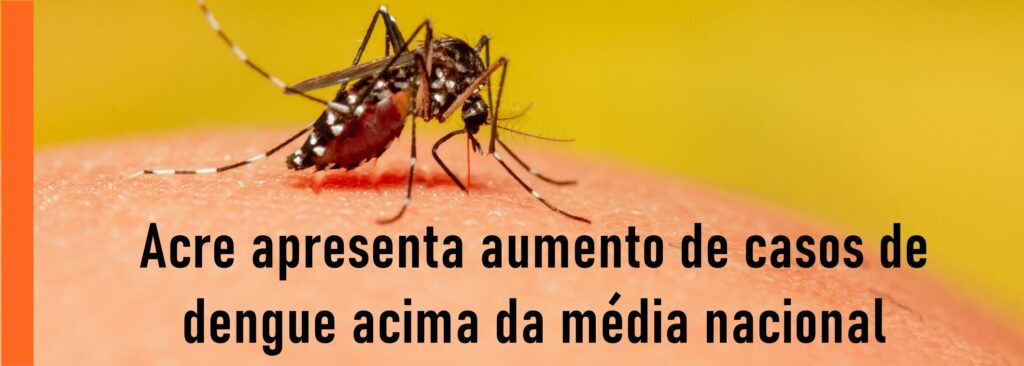 Acre apresenta aumento de casos de dengue acima da média nacional