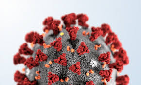 Acre registra 181 novos casos de Covid-19 e mais 6 mortes neste sábado