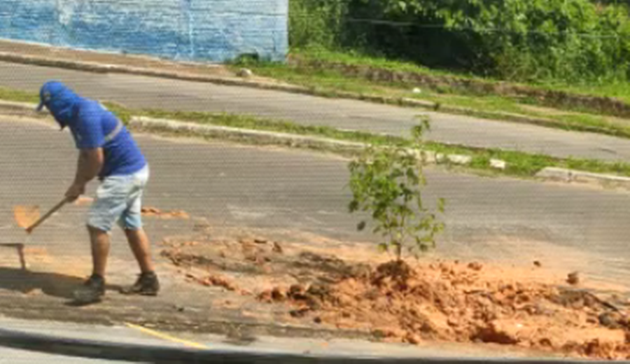 Vídeo: sem sinalização adequada, servidores do Depasa plantam arvore em buraco em Avenida de Cruzeiro do Sul
