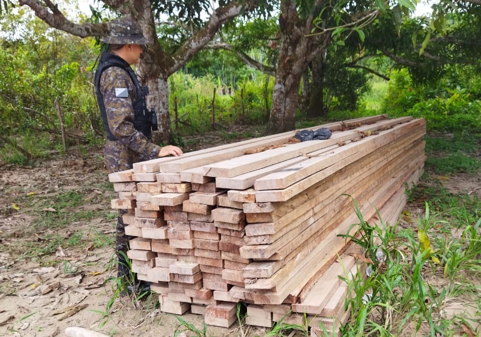 Polícia Militar apreende mais de 8 m³ de madeira ilegal em Cruzeiro do Sul