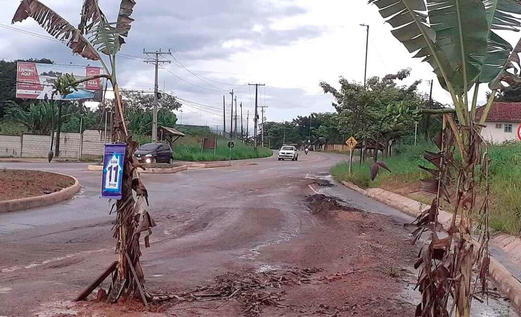 Em protesto, moradores plantam bananeira com número onze na Estrada do Calafate