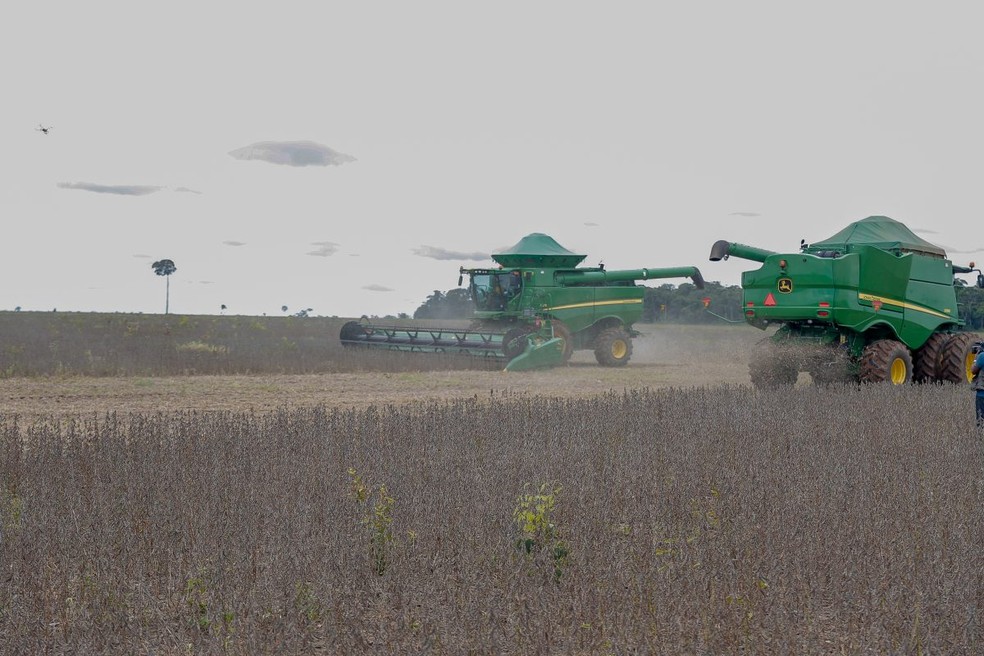 Exportações no Acre sobem mais de 100% em março e saldo da balança comercial no 1º trimestre é o maior desde 1997