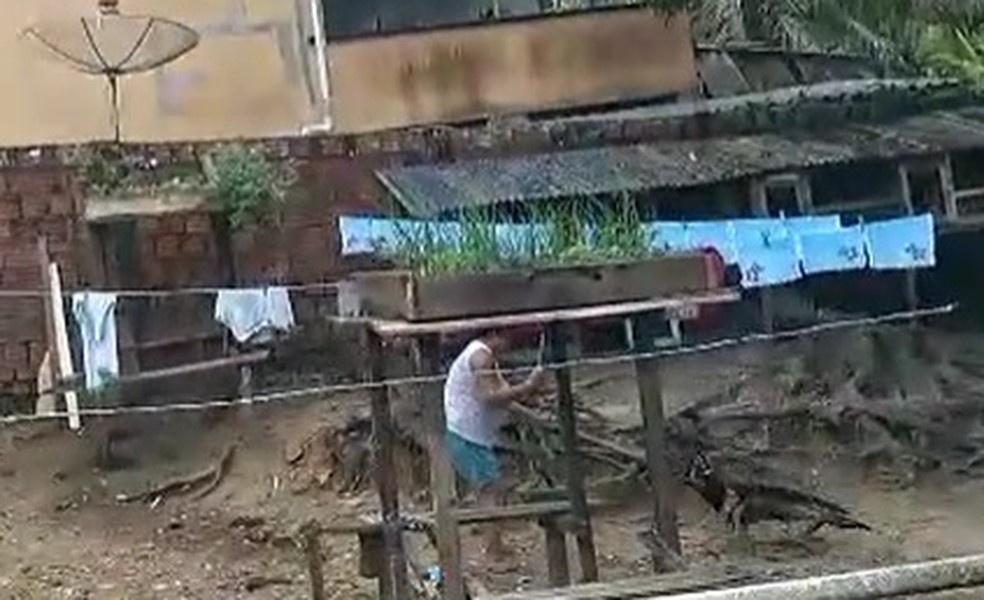 Mulher flagrada dando pauladas em cachorro será denunciada ao MP pela Ordem dos Advogados