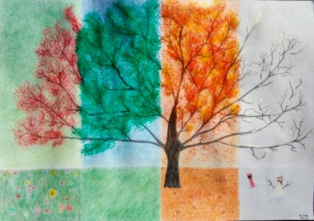 Educação lança concurso de desenho para alunos de Cruzeiro do Sul