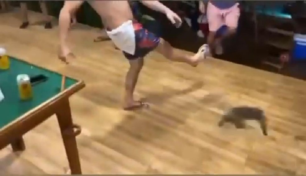 Em vídeo, fisioterapeuta aparece chutando gato em roda de bebida no Acre e ONG denuncia