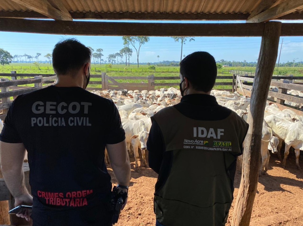 Servidor da Secretaria da Fazenda é preso por envolvimento no transporte ilegal de bois no Acre