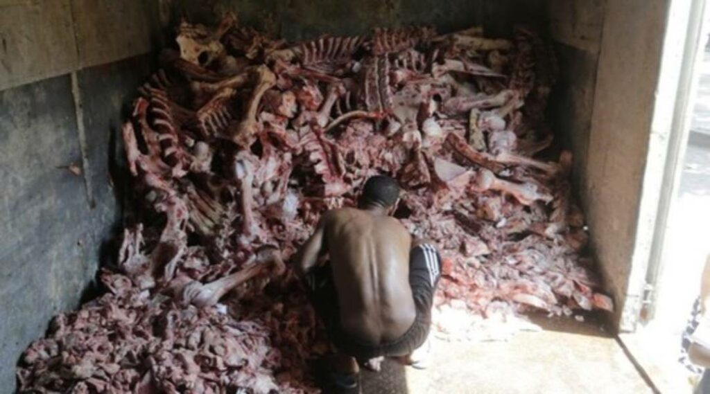 Garimpo contra a fome: sem comida, moradores do Rio recorrem a restos de ossos e carne rejeitados por supermercados