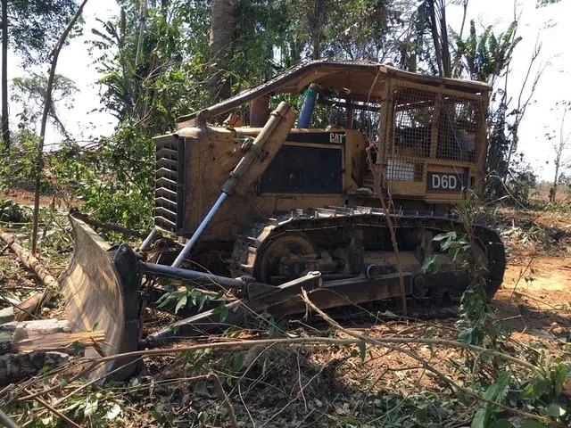 Homens são presos por desmatamento ilegal no Acre