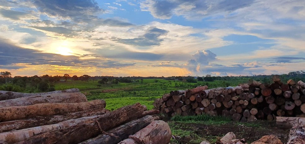 Com mais de 36% de exportação de madeira, Acre fechou agosto com saldo positivo de US$ 2,55 milhões